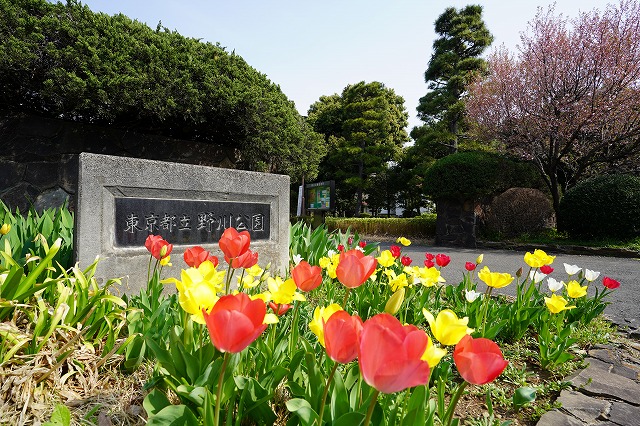 ソニーα７MⅢとＧマスターを持って野川公園を撮ってきた - 練馬区春日町のソニー ショップサウンドサカタ-家電・リフォーム・カメラセミナー等お気軽にご相談下さい