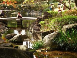 サカタアルファクラブで太田黒公園に紅葉撮影に行ってきました。