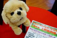 【撮影会情報】サカタアルファクラブ今回は６月１２日（日）上野動物公園に決まりました