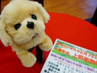 【撮影会情報】サカタアルファクラブ今回は６月１２日（日）上野動物公園に決まりました