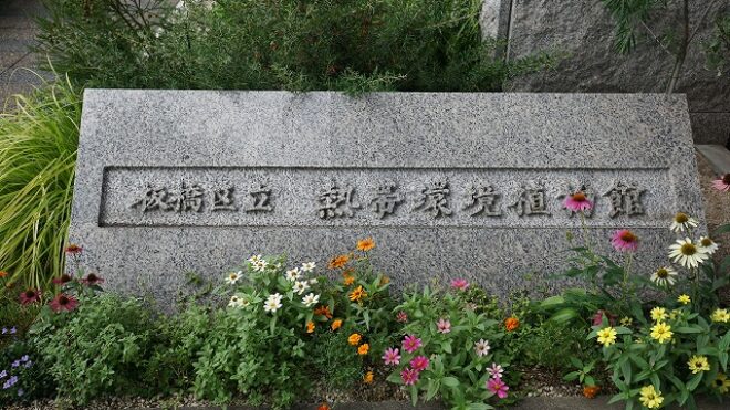 練馬に一番近い島？板橋熱帯環境博物館でアルファ撮影会を開催しました！！