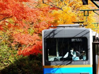 １０月６日（日）サウンドサカタ秋のカメラセミナー開催します【無料・要予約】