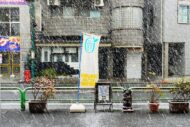 雪景色!店頭すべりますのでお気をつけください