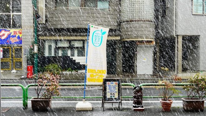 雪景色！店頭すべりますのでお気をつけください