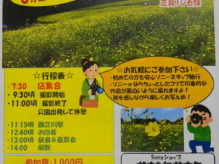 昭和記念公園で秋の撮影会開催します。