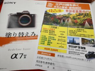 肥後細川庭園界隈撮影会に行ってきました！