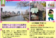 桜ウォーキング！サカタアルファクラブ春の撮影会開催します