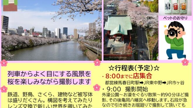 桜ウォーキング！サカタアルファクラブ春の撮影会開催します