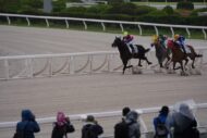 冷たい雨にも負けず、東京シティ競馬トライアル撮影会終了しました