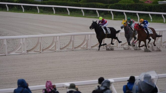 冷たい雨にも負けず、東京シティ競馬トライアル撮影会終了しました