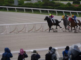 冷たい雨にも負けず、東京シティ競馬トライアル撮影会終了しました