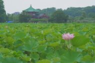 サカタアルファクラブ早朝撮影会いよいよ迫ります！準備は宜しいでしょうか！
