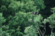 サカタアルファクラブ早朝お写ん歩開催しました！