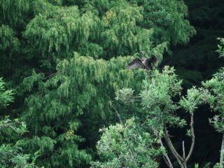 サカタアルファクラブ早朝お写ん歩開催しました！